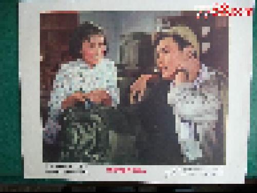 怎么买荷兰护照电子版